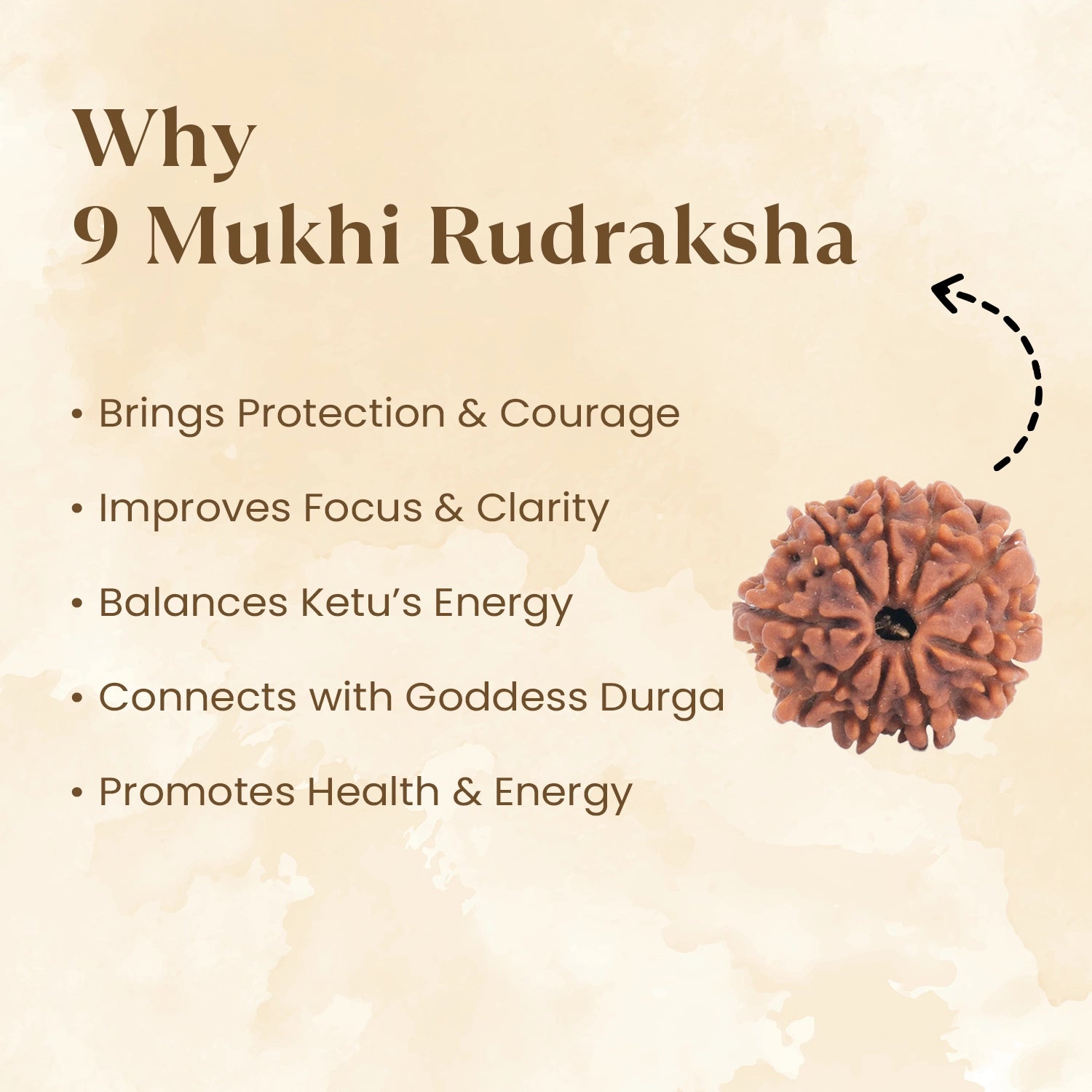 Nepal Origin 9 Mukhi Rudraksha benefits
