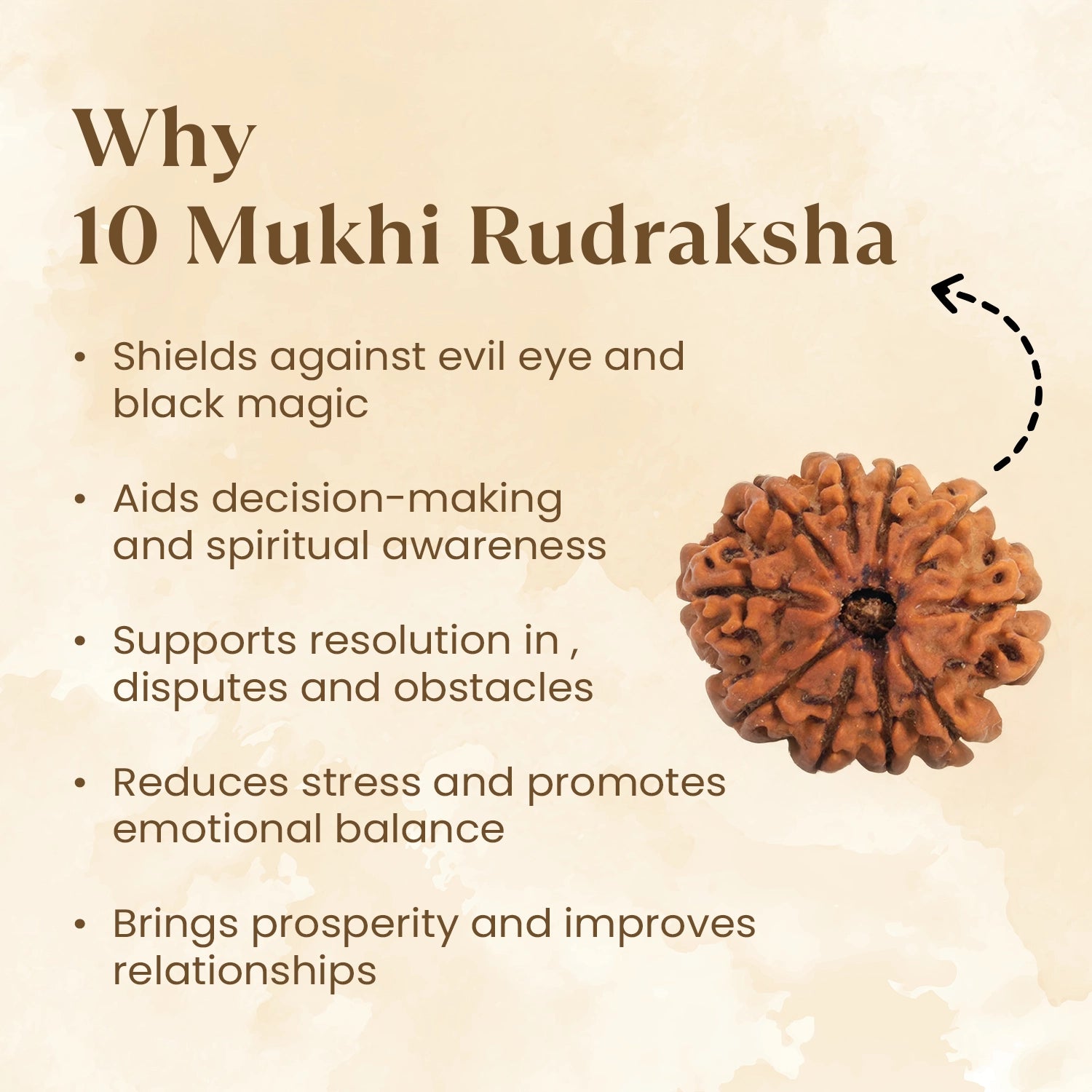 Nepal Origin 10 Mukhi Rudraksha benefits