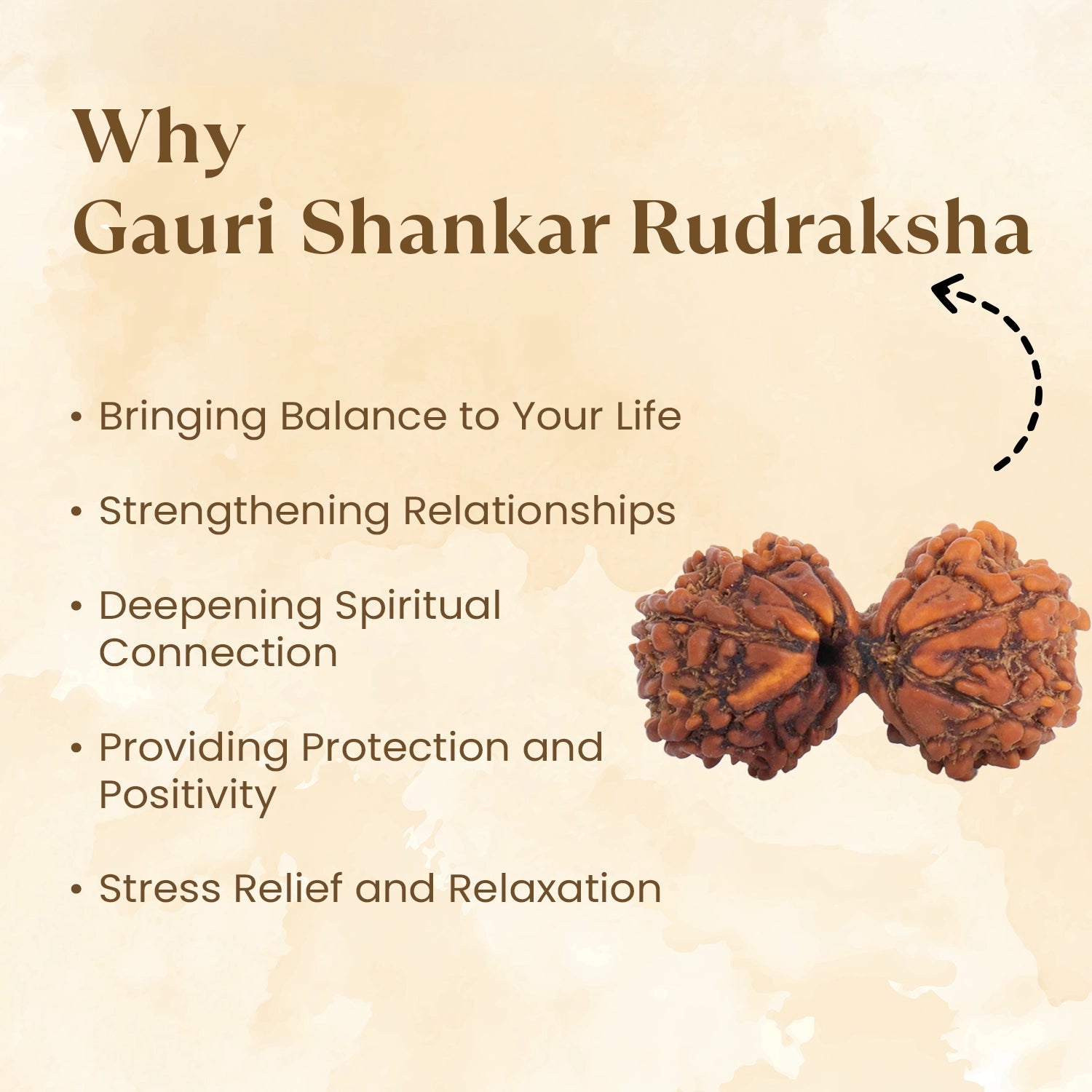 Nepal Origin Gauri Shankar Rudraksha