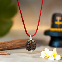 Nepal Origin 5 Mukhi Rudraksha- .