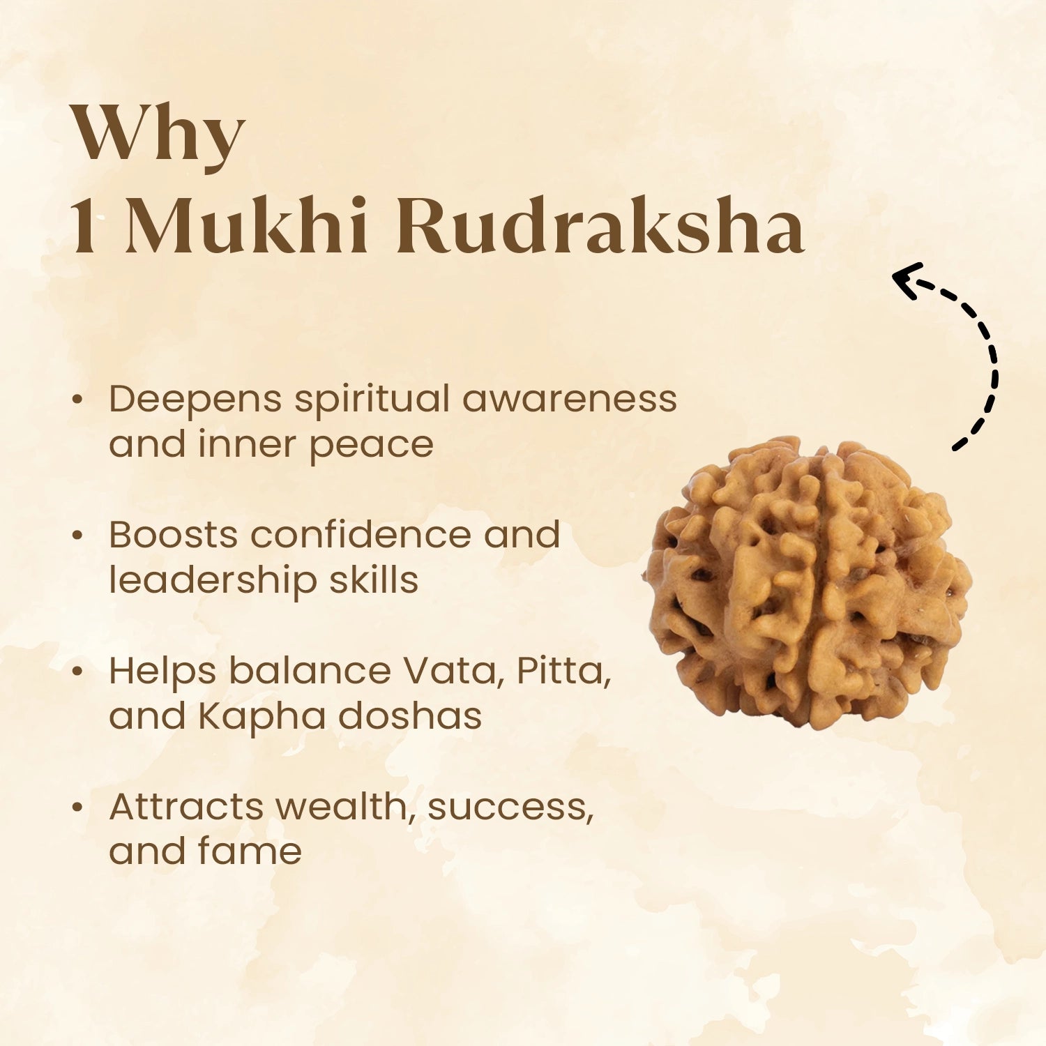 ek mukhi rudraksha benefits