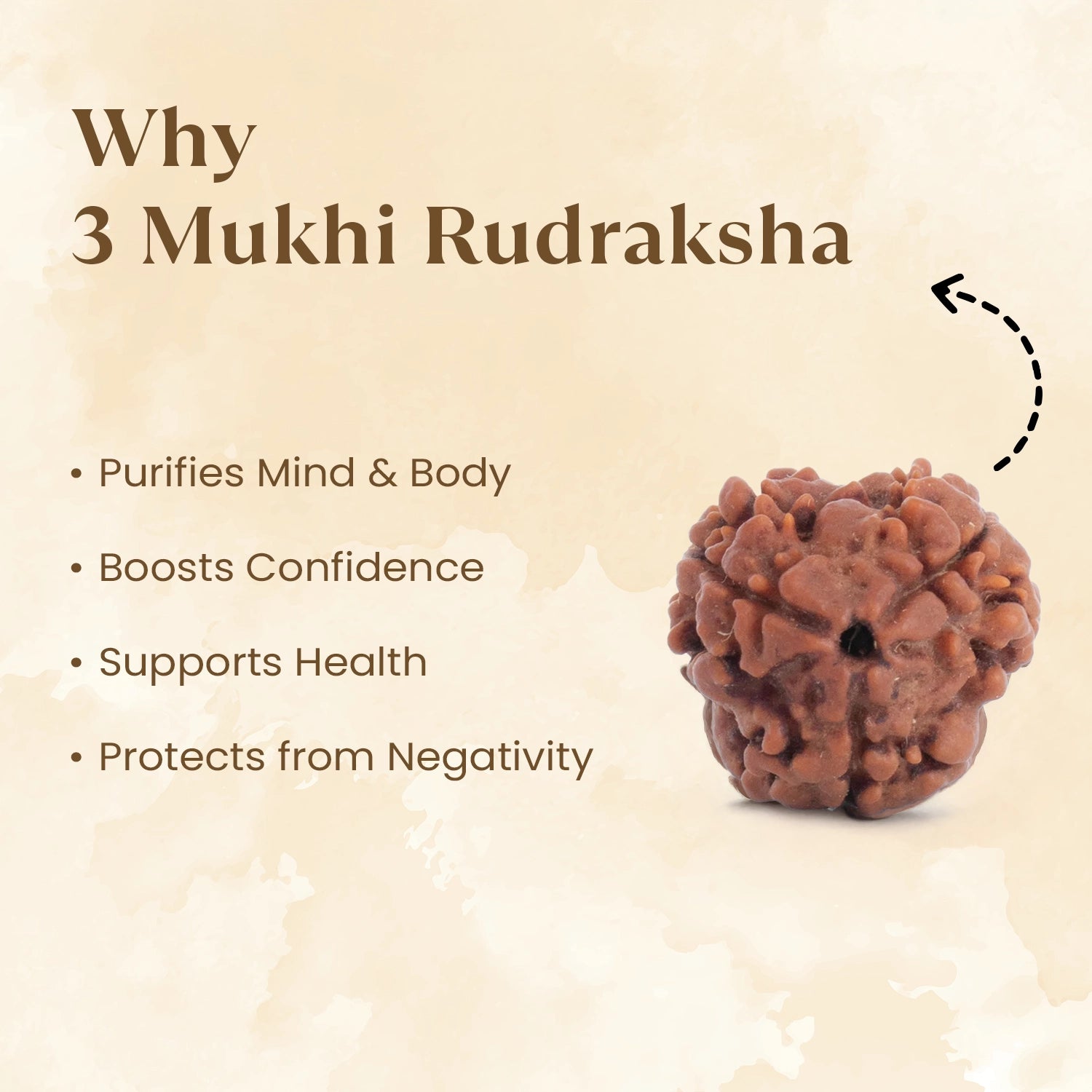 3 mukhi rudraksha benefits