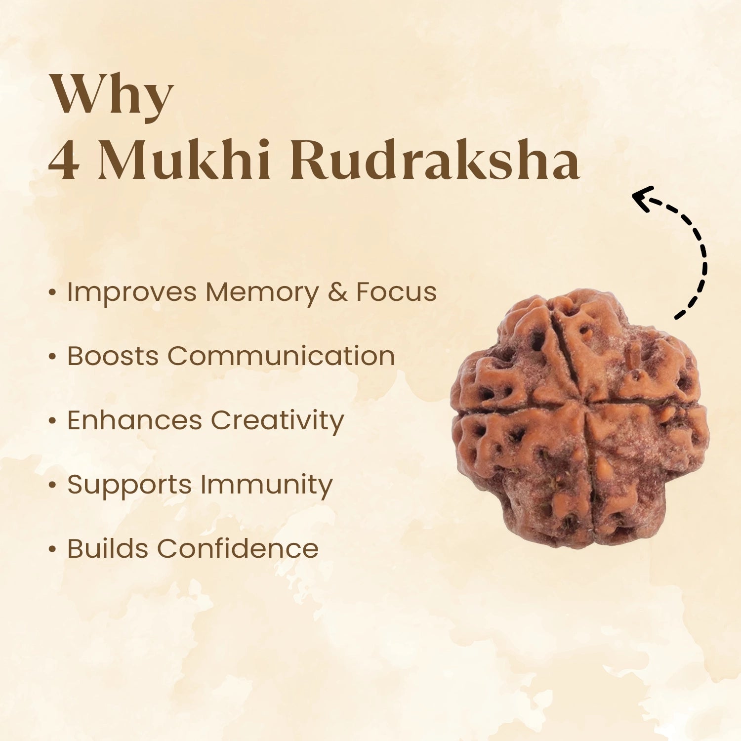 4 mukhi rudraksha