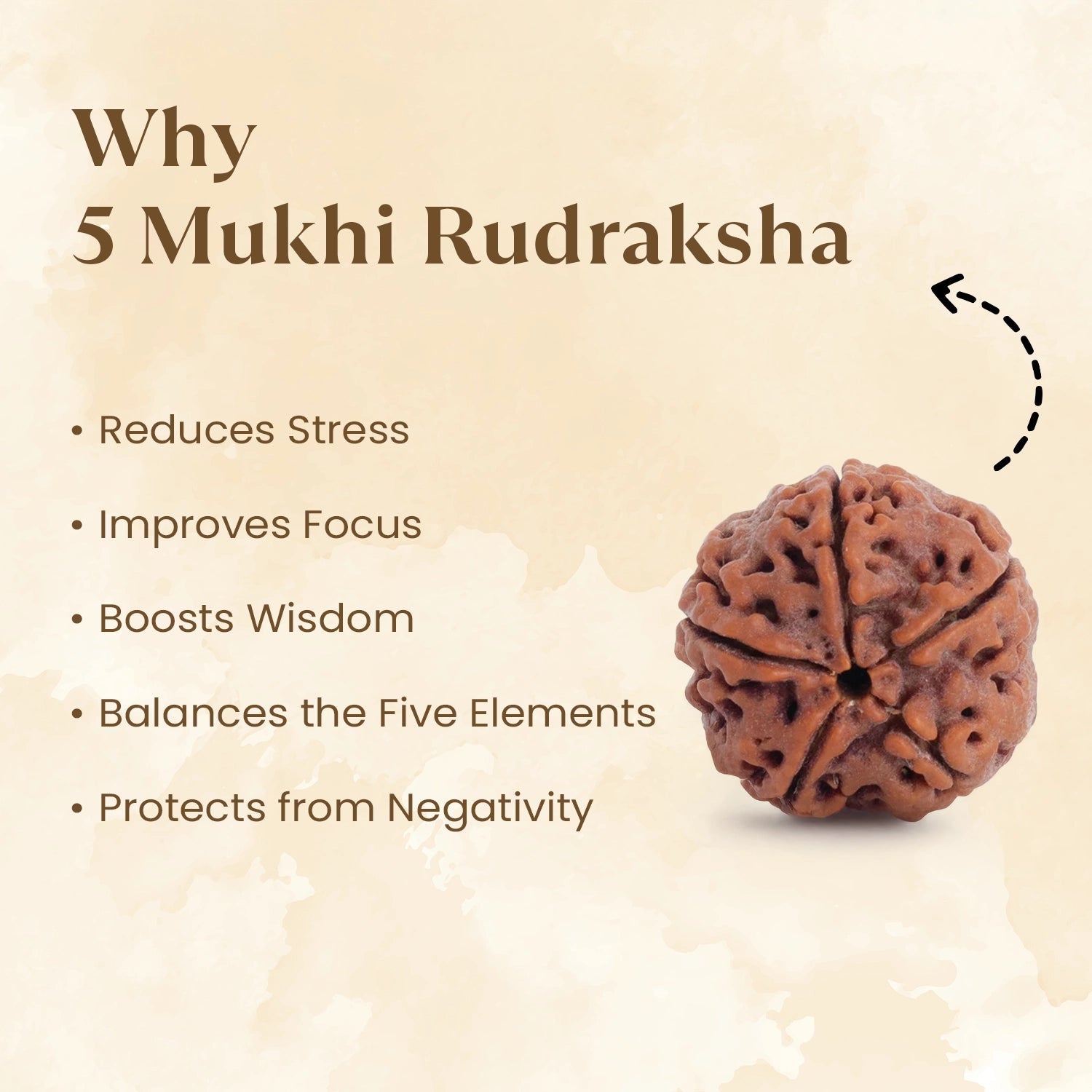 5 mukhi rudraksha benefits