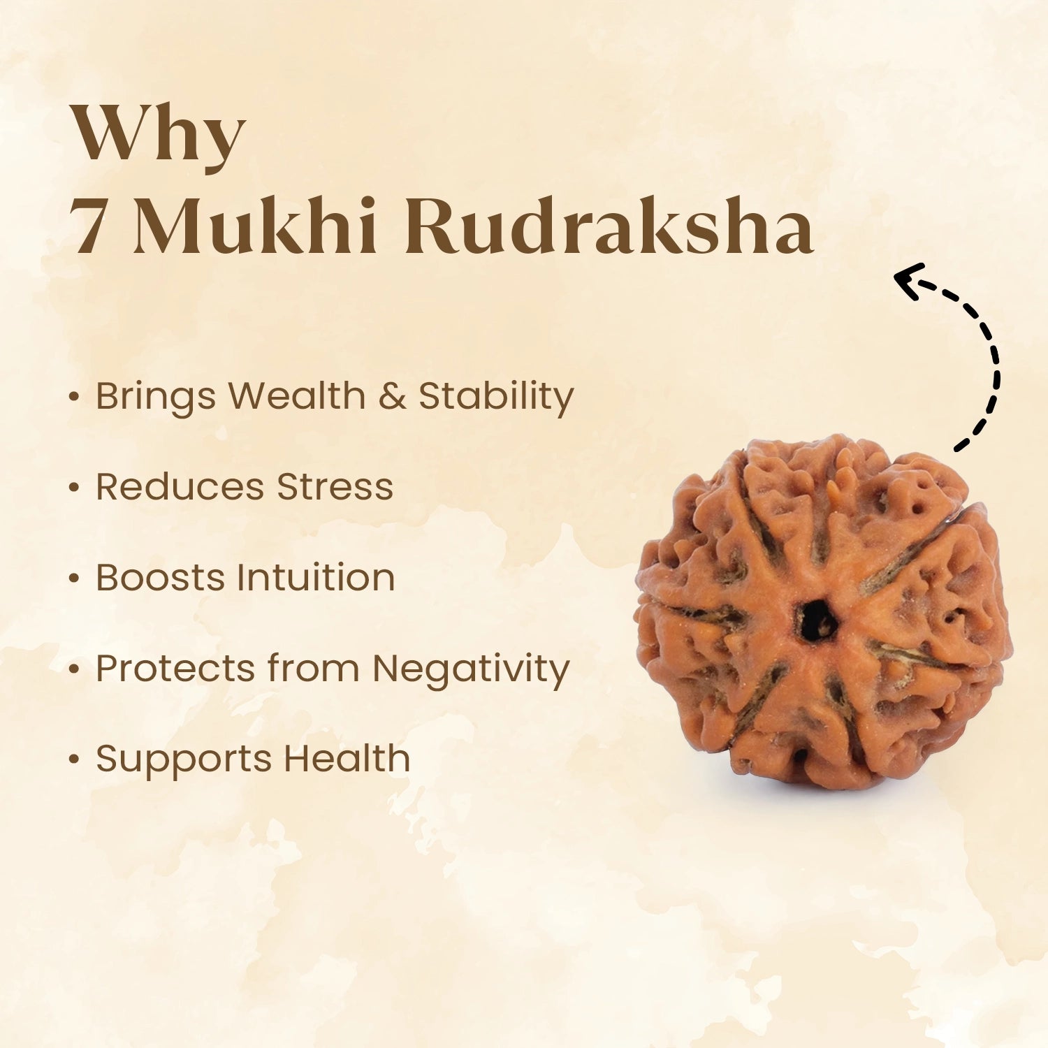 Nepal Origin 7 Mukhi Rudraksha benefits