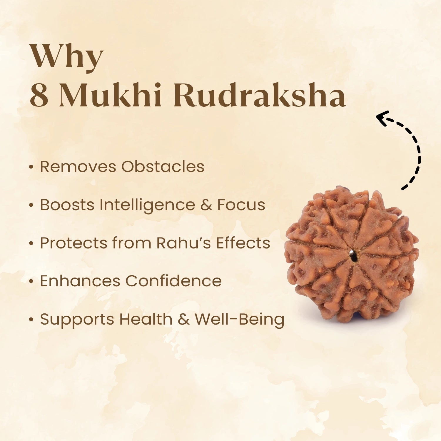 Nepal Origin 8 Mukhi Rudraksha benefits