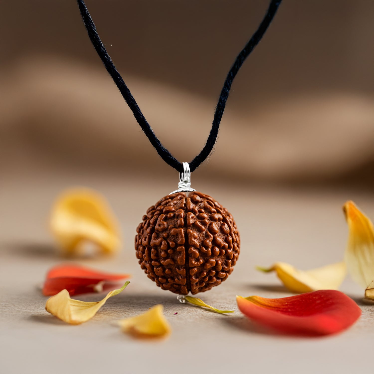 Nepal Origin 5 Mukhi Rudraksha- .