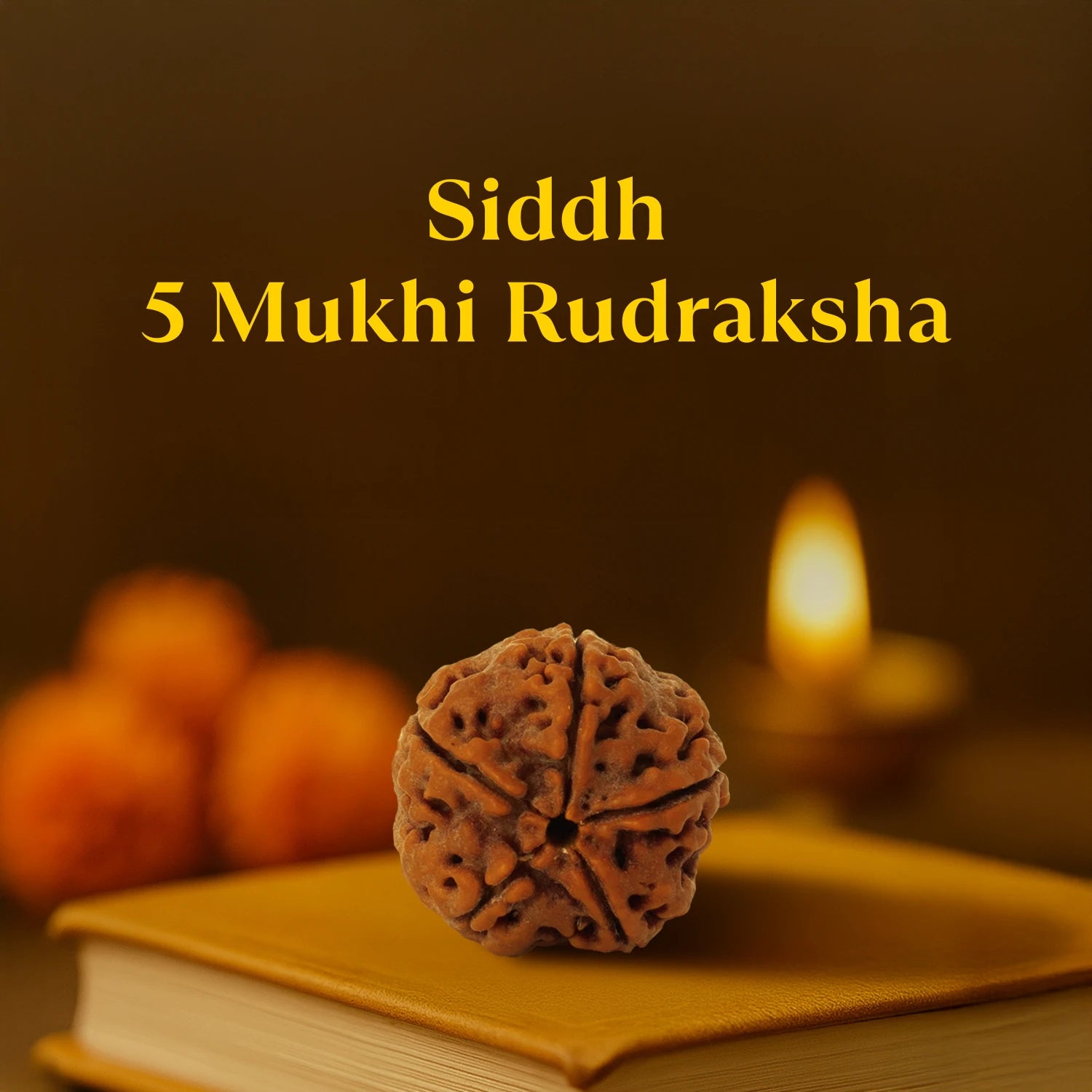 Kashi Siddh Nepal Origin 5 Mukhi Rudraksha