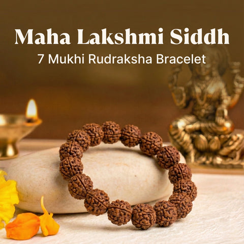 Maha Lakshmi Siddh 7 Mukhi Rudraksha Bracelet