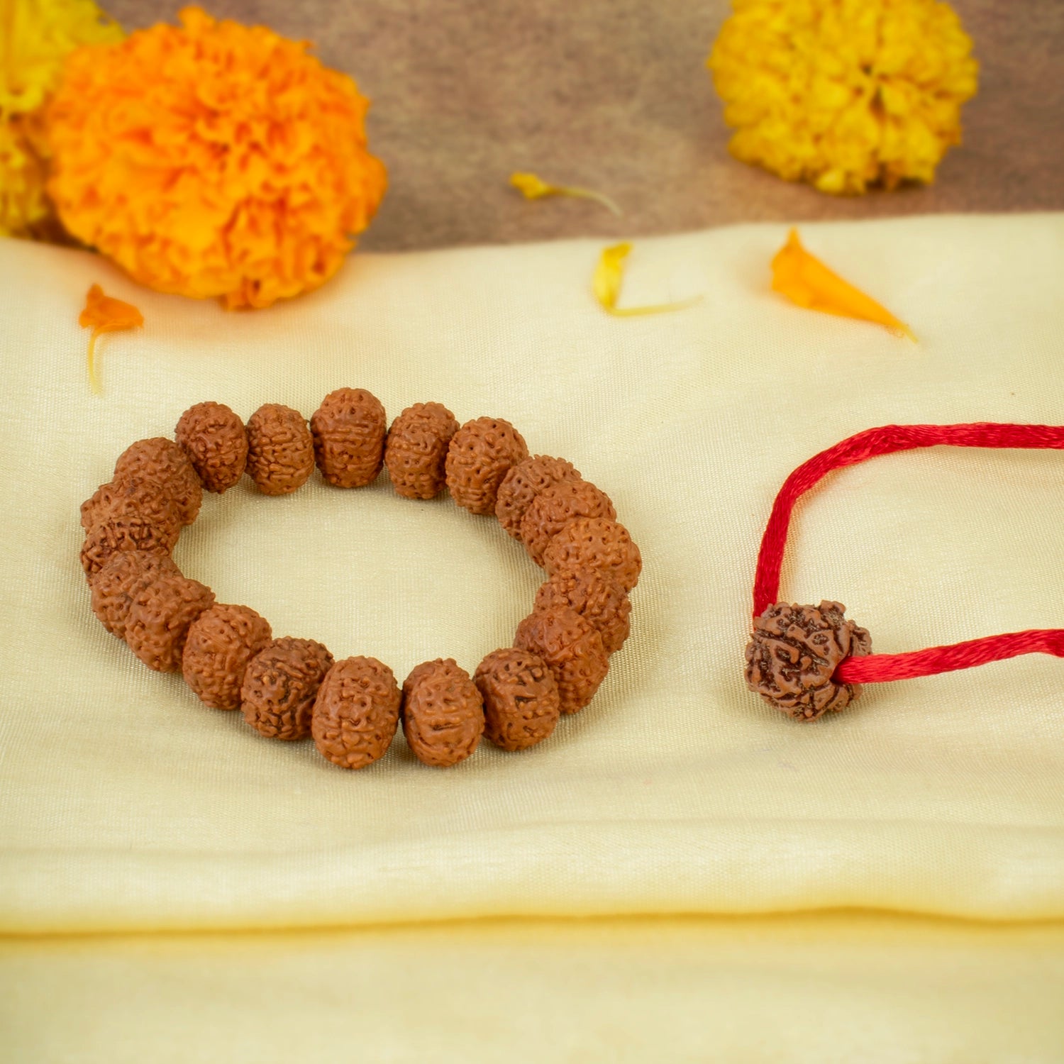 7 Mukhi Rudraksha Combo