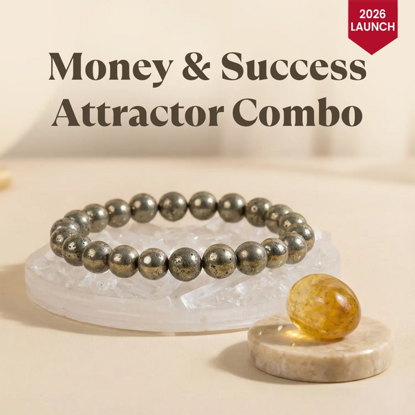 2026 Money and Success Attractor Combo
