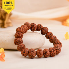 7 Mukhi Rudraksha Bracelet