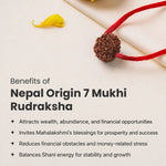 Benefits of 7 mukhi rudraksha
