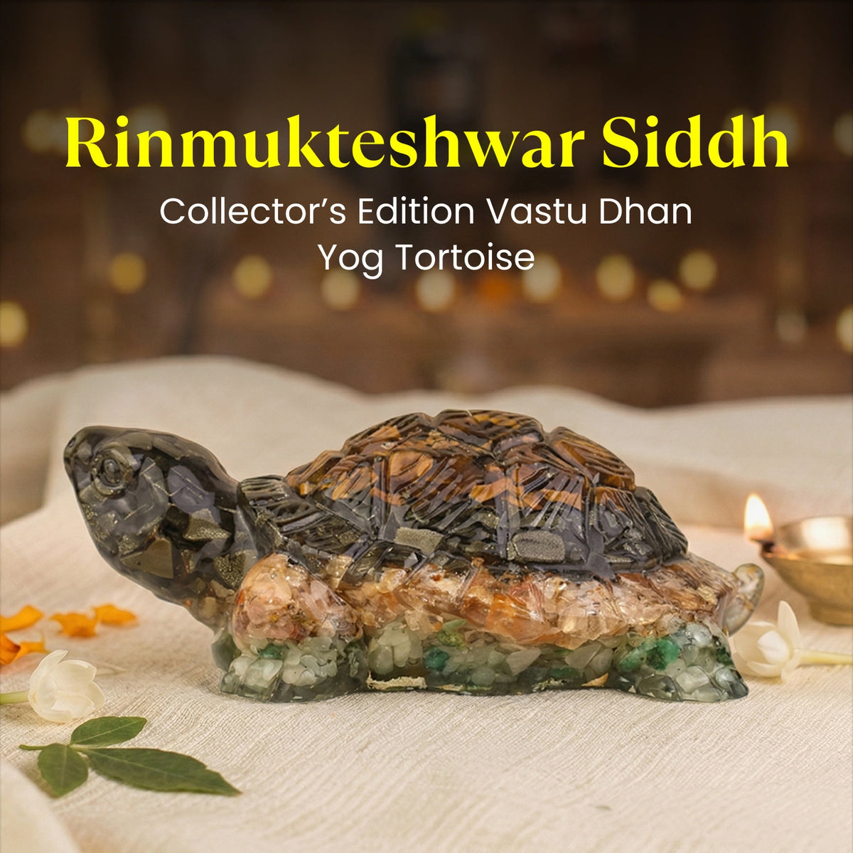 Rinmukteshwar Siddh Vastu Dhan Yog Tortoise (Big size)
