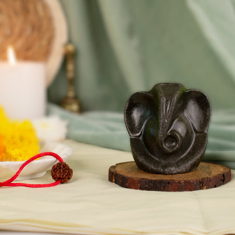 Ganpati Sampoorn Suraksha Combo