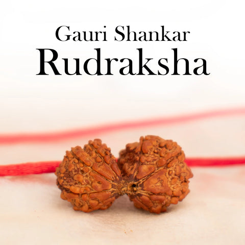 Nepal Origin Gauri Shankar Rudraksha