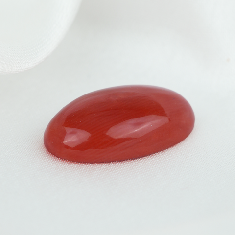 Italian Moonga