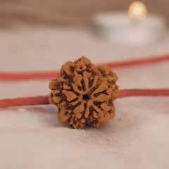 Nirakar Rudraksha