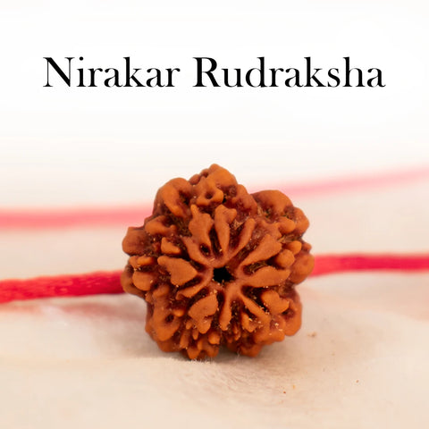 Nepal Origin Nirakar Rudraksha (0 Mukhi)