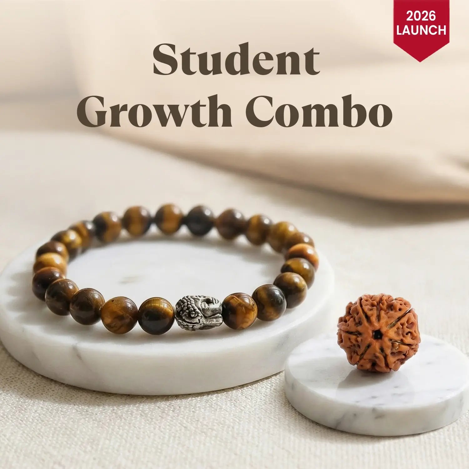 Student Growth Combo: Tiger Eye Bracelet with 7 Mukhi Rudraksha