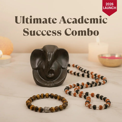 Ultimate Academic Success Combo
