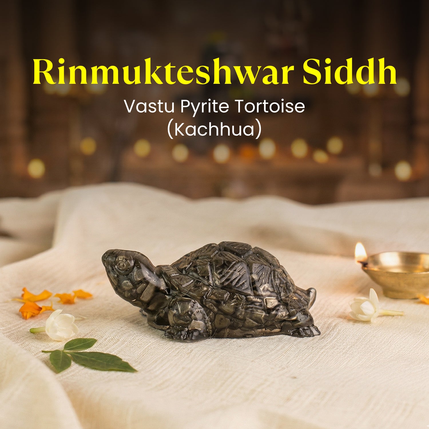 Rinmukteshwar Siddh Pyrite Tortoise