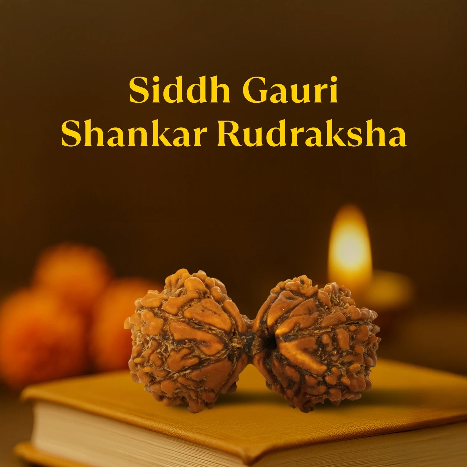 Kashi Siddh Nepal Origin Gauri Shankar Rudraksha