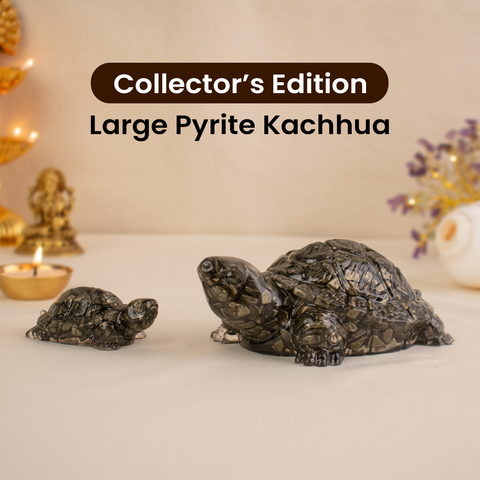 Collector’s Edition Pyrite Tortoise (Kachhua) - Big Size - 8x heavier