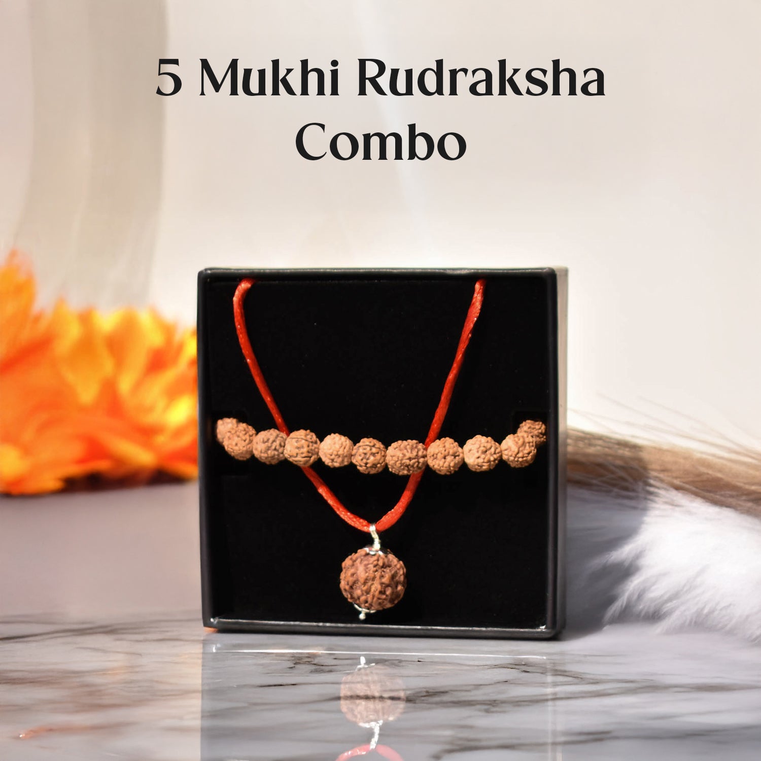 5 Mukhi Rudraksha Combo