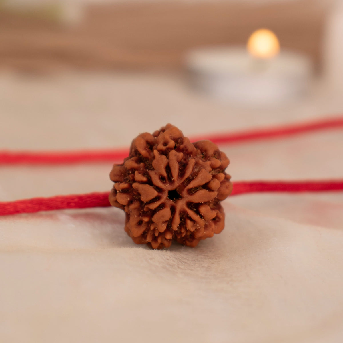 Buy Orignal Rudraksha Online at Best Price - Astrotalk