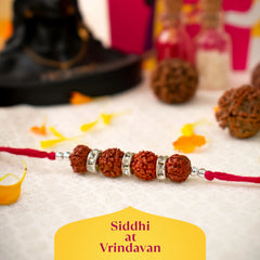 Siddh Rudraksha Rakhi