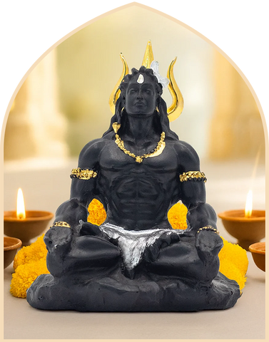 Shiv Collection